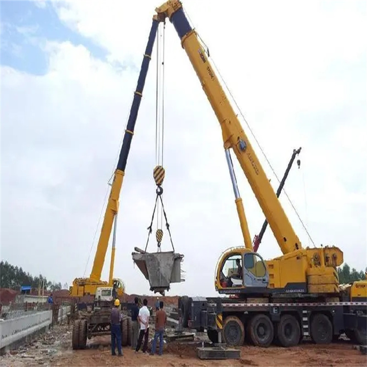 德安小型吊机出租电话|厂房设备吊装方案|24小时服务覆盖